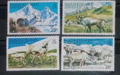 Falkland islands 1982 fauna animale Cerbi, reni , Serie 4V nestampilat