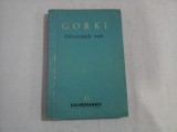 UNIVERSITATILE MELE - Maxim GORKI
