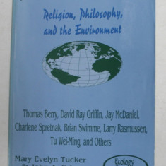 WORLDVIEWS AND ECOLOGY - RELIGION , PHILOSOPHY , AND THE ENVIRONMENT by THOMAS BERRY ..AND OTHERS , 1994 , PREZINTA SUBLINIERI CU PIXUL SI MARKERUL *