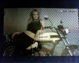 Kylie Minogue - Poster [A3]