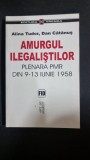 Amurgul ilegalistilor plenara PMR din 9-13 iunie 1958 - Alina Tudor si Dan Catanus