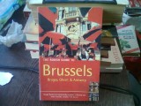 THE ROUGH GUIDE TO BRUSSELS - MARTIN DUNFORD