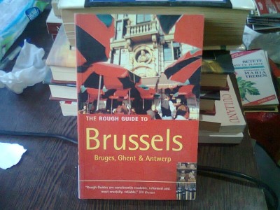THE ROUGH GUIDE TO BRUSSELS - MARTIN DUNFORD foto