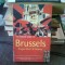 THE ROUGH GUIDE TO BRUSSELS - MARTIN DUNFORD
