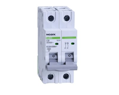 Siguranta automata 25A 2P 4,5kA B Ex9BS Noark 102066 foto