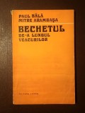 Paul Bălă; Mitre Arambașa - Bechetul de-a lungul veacurilor