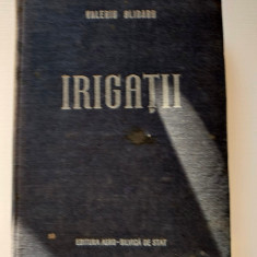 Valeriu Blidaru - Irigatii