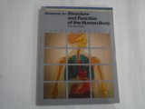 WORKBOOK FOR STRUCTURE AND FUNCTION OF THE HUMAN BODY - RUTH LUNDEEN MEMMLER, DENA LIN WOOD