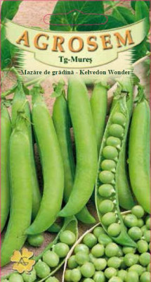 MAZARE DE GRADINA KELVEDON WONDER, 20g foto