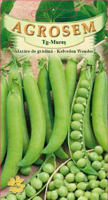 MAZARE DE GRADINA KELVEDON WONDER, 20g