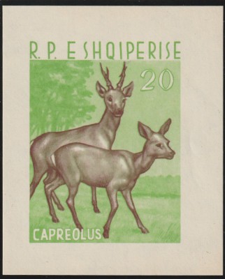 Albania 1962-Fauna,Animale,Bloc nedantelat,MNH,Mi.Bl.16 , (0,72/0,88 cm) foto