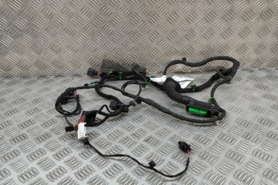 Cablaj ușă dreapta spate PORSCHE PANAMERA 971 2018 OEM: TAB052206,971971122B 30620301 foto