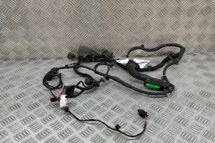 Cablaj ușă dreapta spate PORSCHE PANAMERA 971 2018 OEM: TAB052206,971971122B 30620301