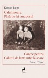 Calul Moare. Păsările &icirc;si iau Zborul - C&acirc;ntec pentru căluțul de lemn uitat la soare - Paperback brosat - Kass&aacute;k Lajos, Zal&aacute;n Tibor - Tracus Arte