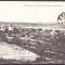 2623 - TULCEA, Panorama, Romania - old postcard - used - 1916 - TCV