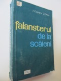 Falansterul de la Scaieni - I. Cojocaru , Z. Ornea