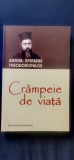 Arhim. Epifanie Theodoropulos - Crampeie de viață