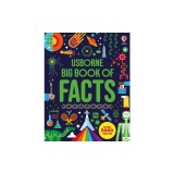 Big Book of Facts