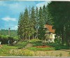 CPIB 15224 - CARTE POSTALA - BORSEC, Circulata, Fotografie