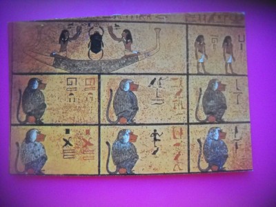 HOPCT 6991 MORMANTUL LUI TUT ANKH AMUN 1358 I C -EGIPT -AFRICA-NECIRCULATA foto