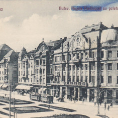 CP Timisoara Bulev. regele Ferdinand cu Palatul Lloyd ND(1926)