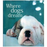 Kit Whitfield - Where dogs dream - 116259