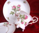 SET MIC DEJUN PORTELAN LINDNER BAVARIA LUCRAT MANUAL MODEL MOOSROSE DECOR CU TRANDAFIRI