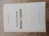 MIJLOACE MODERNE DE PRELUCRARE A STRUGURILOR de GH. CONSTANTINESCU ISMAIL , 1939