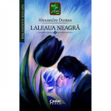 Laleaua Neagra, Alexandre Dumas