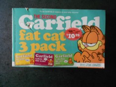 JIM DAVIS - GARFIELD FAT CAT 3 PACK volumul 2 (1982) foto
