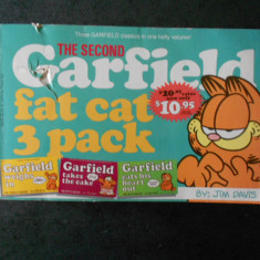 JIM DAVIS - GARFIELD FAT CAT 3 PACK volumul 2 (1982)