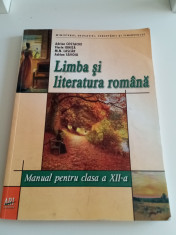 Limba și literatura rom&amp;acirc;nă - clasa a Xll-Adrian Costache foto