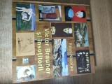 Cumpara ieftin Victor Brauner si insotitorii. Incursiuni in avangarda - de Emil Nicolae (Editura Hasefer, 2013)