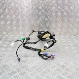 Cablaj ușă dreapta față DODGE RAM 1500 Pick-up DJ, DS 2018 OEM: 16238C0,7184-4232 13886003