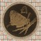 1363 Cipru 1 pound 2002 Cyprus Butterfly (tiraj 4.000) km 96 UNC