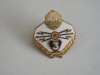 QW9 N2 85 - insigna - militar - comunism - transmisiuni - specialist clasa 3, Romania de la 1950