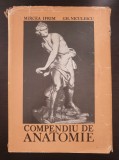 Cumpara ieftin COMPENDIU DE ANATOMIE - Ifrim, Niculescu