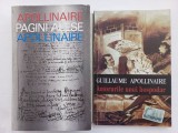 GUILLAUME APOLLINAIRE - SCRIERI ALESE / PAGINI ALESE + AMORURILE UNUI HOSPODAR [ EDITIE REVAZUTA]