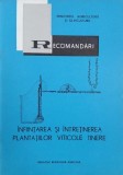 Infiintarea si intretinerea plantatiilor viticole tinere. Recomandari - I. Davidoiu, Gh. Pogorevici