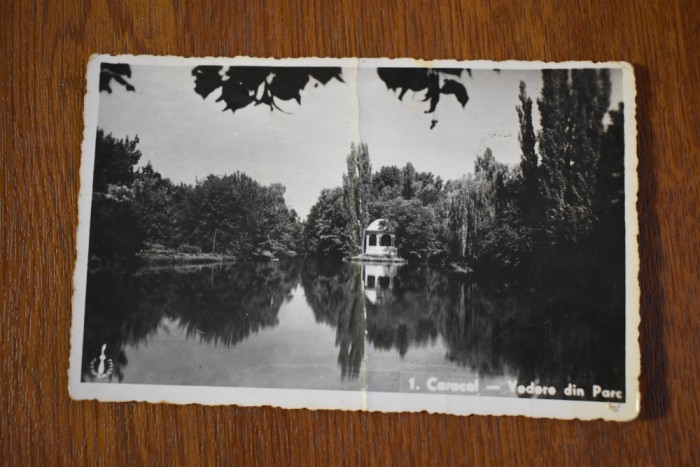 Caracal vedere din parc 1942