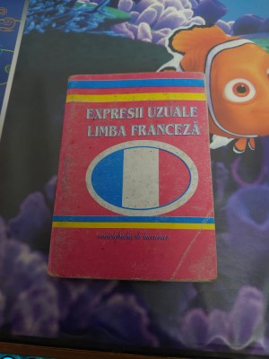 Expresii uzuale in limba franceza foto