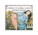 Undeva, &icirc;n lumea largă - Hardcover - Maurice Sendak - Vlad și Cartea cu Genius