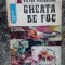 Victor Birladeanu - Gheața de foc