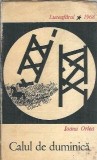Calul de duminica Ioana Orlea Editura Pentru Literatura Colectia Luceafarul 1968 Literatura Romana Carte Veche Carti Colectie Coperta Cartonata