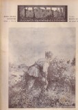 Revista Carpatii. Vanatoare, pescuit, chinologie, nr. 10, octomrbie 1946