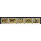 AFRICA DE SUD 1991 FAUNA ANIMALE DOMESTICE CAI VACI OI CAINI