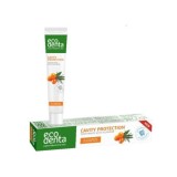Pasta de Dinti Naturala cu Catina pentru Protectia Cavitatii Orale 75 mililitri Ecodenta