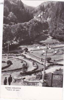 AS - ILUSTRATA 1224, SLANIC-MOLDOVA, VEDERE DIN PARC, ANUL 1962 foto