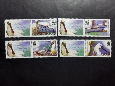 2006 -Romania - Pasari Protejate foto