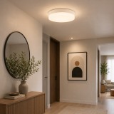 Cumpara ieftin Aplica rorunda LED 24W 6400K IP20, Homelight